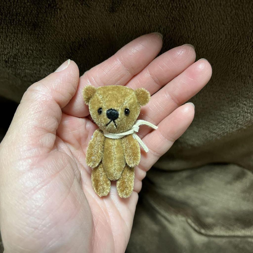 [USED] Miniature Teddy Bear