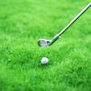 1 Set 1:12 Dollhouse Miniature Outdoor Golf With Ball For Doll Garden Toys