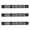 Cosmo Darts Discovery Label Edison Phung 19g Tungsten 90% darts