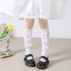 Girls' Lace Mesh Mid-Calf Princess Socks - Summer Thin Style