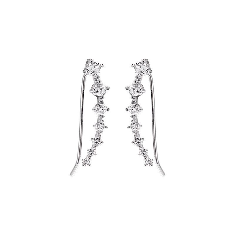 Banyan Tree S925 Silver Zircon Earrings - Elegant & Stylish Ear Hooks for Women