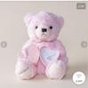 [USED] Teddy Bear Open Heart Necklace