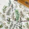 Sugar Poetry Plant Light Scenery Sticker Pack: Fresh Style for Children's Journals, DIY Decor, and Collage Projects.