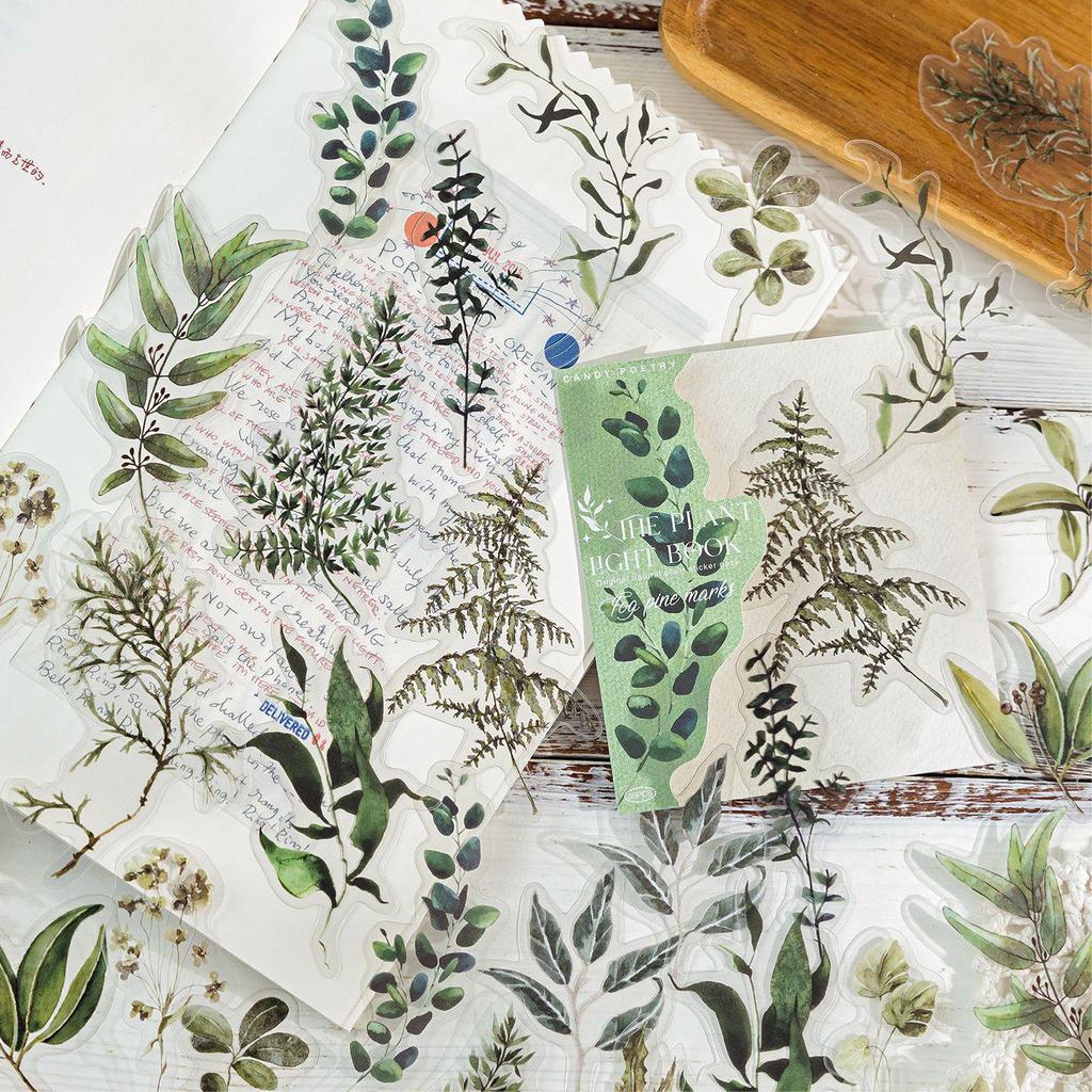 Sugar Poetry Plant Light Scenery Sticker Pack: Fresh Style for Children's Journals, DIY Decor, and Collage Projects.