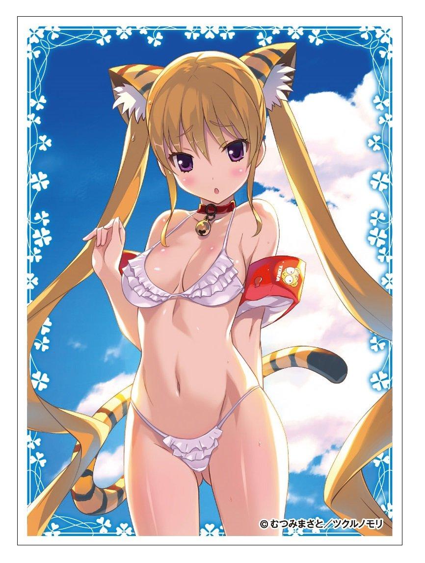 

Коллекция протекторов для карт от создателей персонажей Масато Муцуми (EN-131)