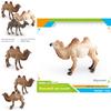 Desert Animal Pvc Figurine Twin Hump Camel Static Decor For Children Learning Play