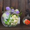 Fillable Bauble Clear Glass Ball Microlandscape Container Open Mouth Plant Pot for Decorating Window or Balcony
