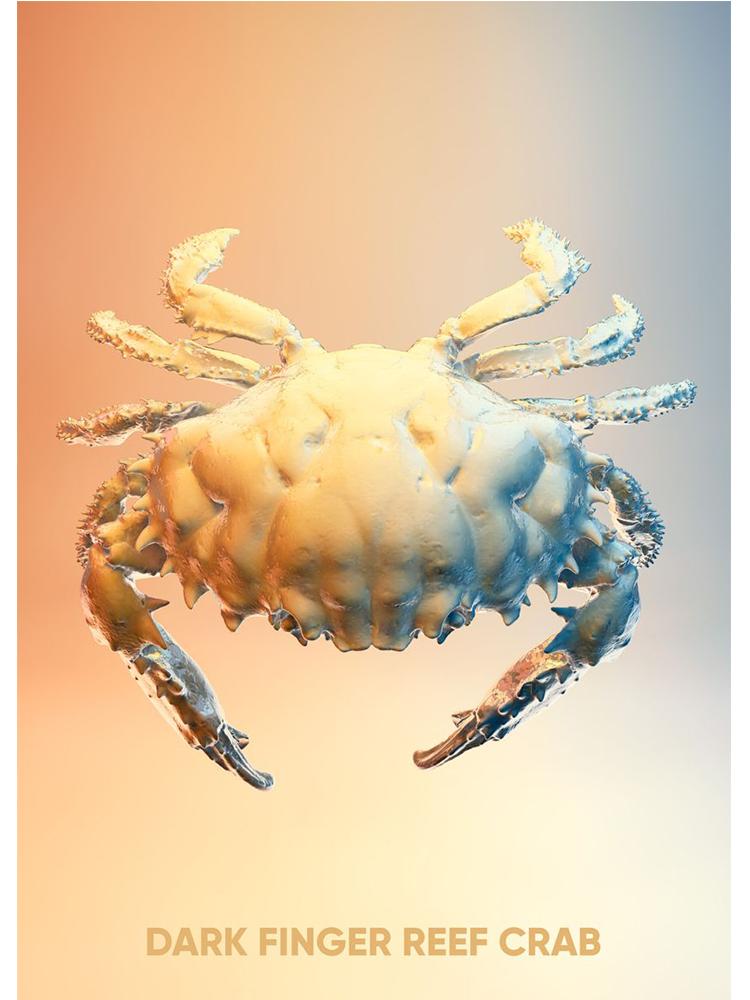 Vintage Crab Ocean Animals Posters Print Canvas Painting Scallop Sea Star Nordic Wall Art For Living Room Home Decoration Mural