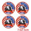 10Pcs USA Independence Day Embroidery Patches, Flag Eagle Bow Iron On Patches for Clothing Backpack Jeans DIY