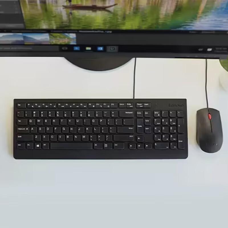 Lenovo USB Wired Mouse