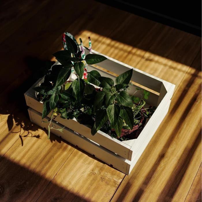 Creative Deco Lot De 3 Caisse En Bois Blanc | 40 X 30 X 15 Cm | Caisse Rangement Bois | Caisse En Bois Vintage | Cagette En Bois