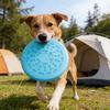 Köpek – Köpek oyuncakları