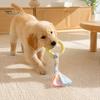 Stress Relief Toys for Pets Dog Tug-of-War Toy, Rubber Ring with Braided Cloth Strips, Interactive Physical Exercise Dogs Chew Toy Small To