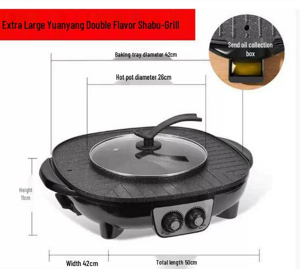 European & British Standard Shabu-Shabu Grill Pot: Dual Control Multifunctional Electric Hot Pot & Barbecue Fryer