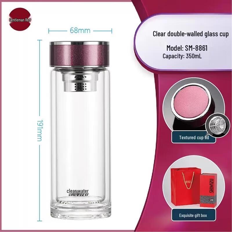 Double-Wall Glass Tea Infuser Bottle