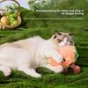 Pet Fruit Toys Interactive Sound Plaything For Cats And Dogs