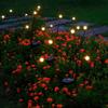 UOSULED Solar Firefly Garden Lights