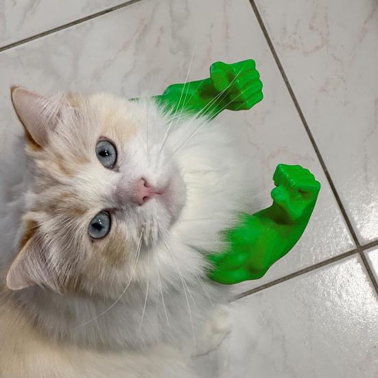 Vtipný Kočičí Svalnatá Ruka Superhrdina Cosplay Kostým Krk Ruka se Svaly 3D Tištěné Rekvizity pro Halloween Narozeninovou Párty