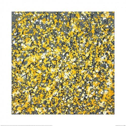 Pôster Flor da Primavera de Simon Fairless 60cm x amarelo