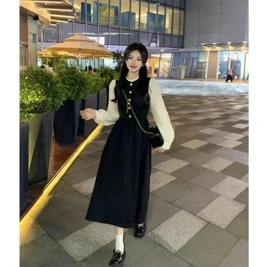 2026 Spring Elegant Hepburn Style Long Sleeve French Bubble Dress