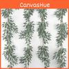 Foliage Leaf Eucalyptus For Wedding Backgrounds Outdoor Photography Decoration