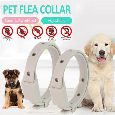 Puppy Dog Mosquitoe Repellent Collar Pet Antiparasitic Anti Flea Tick Collar for Small Dog Cat Collar Adjustable Dog Accessories