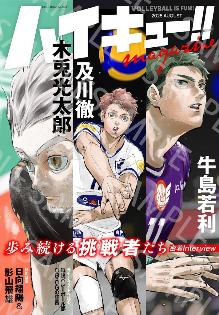 Magazine 2025 AUGUST Haikyu!! (Shueisha Mook)