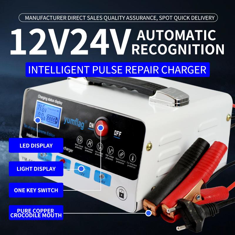 Intelligent Pulse Repair Battery Charger for 12 Volt & 24 Volt Battery for Car & Tricycle Use EU белый