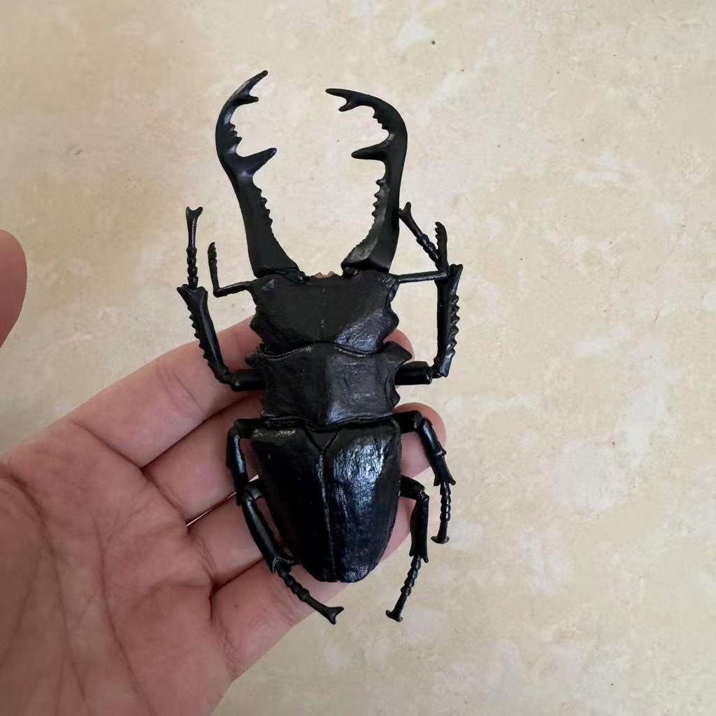 Biographical Analysis of Deer Antler Beetle plus Claw Shaped Insect Beetle Gacha Simulation Animal Movable Joints Figure Playthings