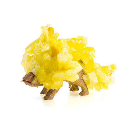 Skulptera och odla kristall (Dino)