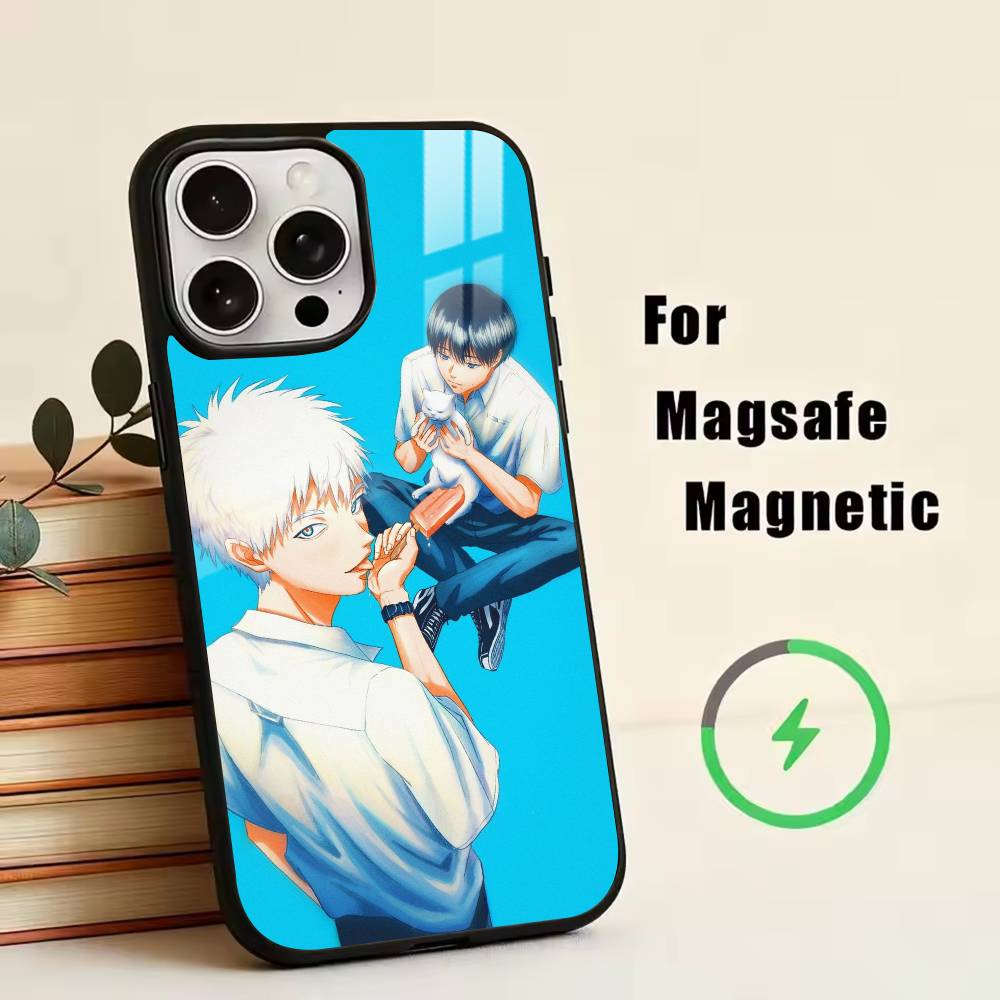 Summer H-Hikaru DD-Died  Phone Case For iPhone17,16,15,14,13,12,11 Plus,Pro Magnetic For Magsafe Wireless Charging
