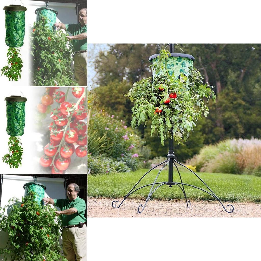 Sturdy Hanging Planter Bag For Tomatoes Strawberries Balcony And Home Gardening