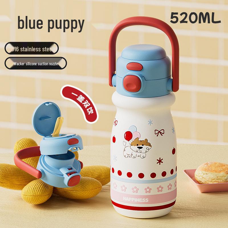 520ml Cute Insulated Straw Cup