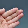20pcs Hair Rig Bait Cage Paste Bait Cage Carp Fishing Bait Durable Groundbait Feeder  Coarse Fishing