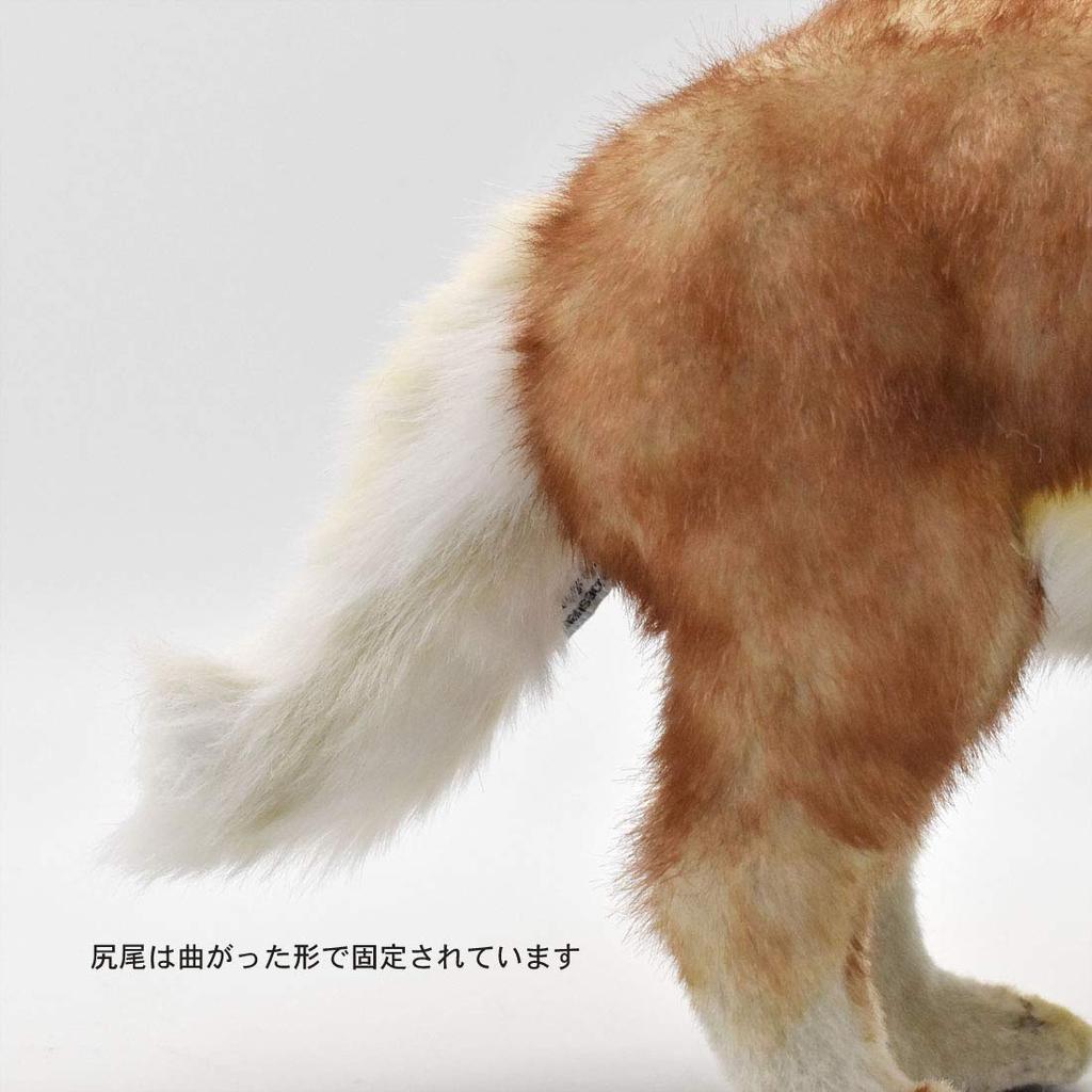 BH5207 HANSA Coyote 35