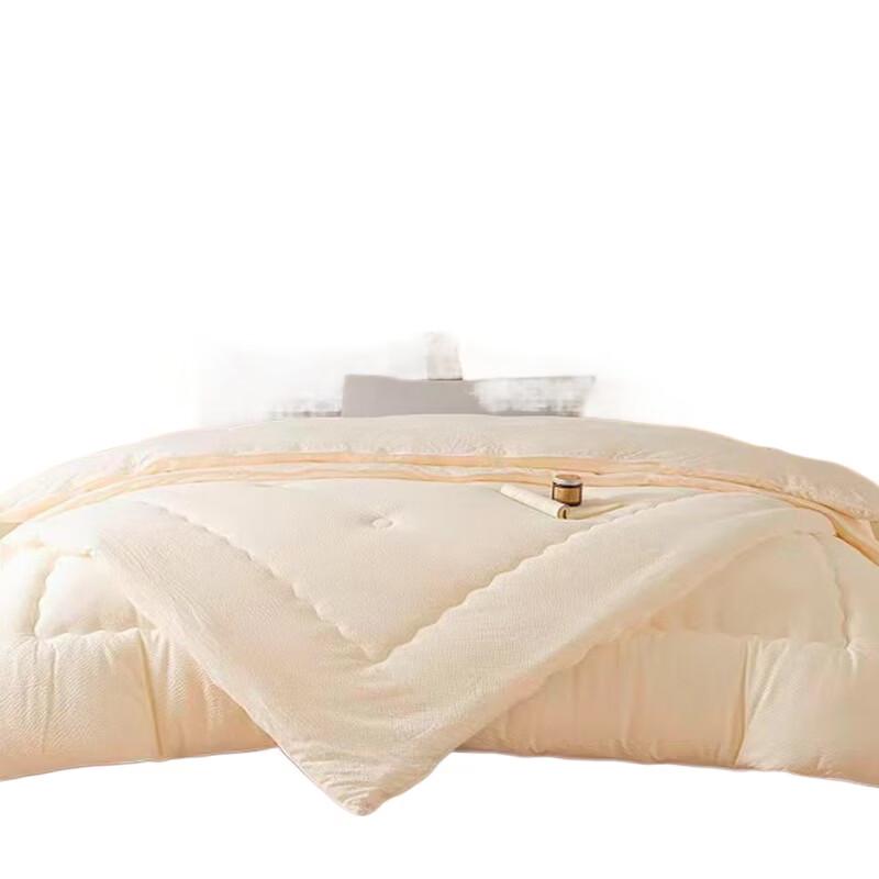 Playboy Antibacterial Winter Quilt