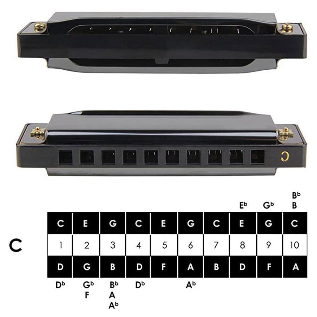 10 Holes C Key Harmonica for Beginners Students Portable Mouth Organ Small Wind Instrument