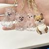 Transparent Dog Fur Storage Pendant Fur Storage Capsule DIY Accessories Portable Souvenirs Keychain Cute Pet Hair Container