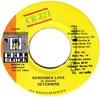 7inch Record DETERMINE - Remember Love CB040 Cell Block 321 1996 Jamaica Reggae, Ska & Dub Used