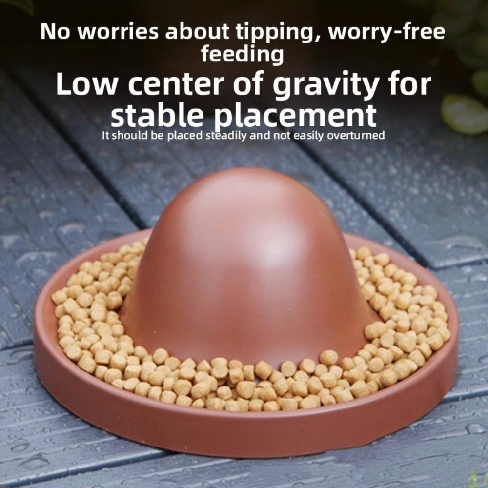 Plastic Reptile Feeder Bowl Escape Proof Wear Resistant Reptile Water Pot Wide Mouth Round Feeder Ledge for Small Pets