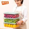 Xitianlong Refrigerator Food Storage Container