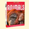 Genuine book Miles Kelly English Children's Encyclopedia Teenagers' Popular Science Knowledge Reading