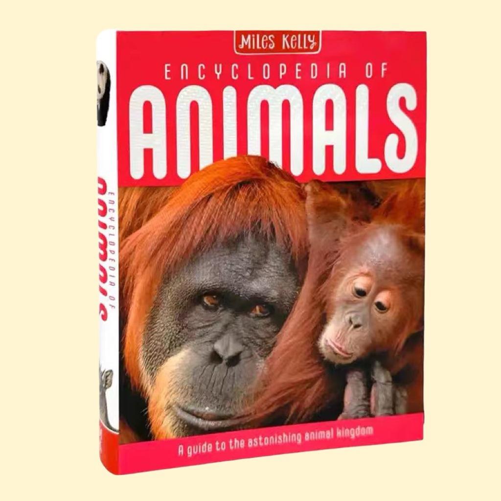Genuine book Miles Kelly English Children's Encyclopedia Teenagers' Popular Science Knowledge Reading