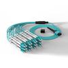 Dasheng Light 24-Core MPO-LC OM3 Multimode Fiber Optic Patch Cable