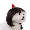 Are 10 Here Suggested Titles For The Pet Wig Product Based On The Information Provided