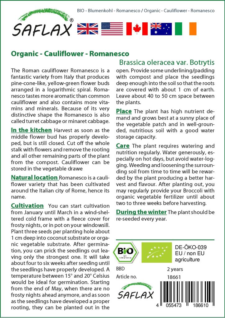 SAFLAX Organic - Cauliflower - Romanesco - 50 Seeds - Brassica Oleracea