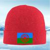 Wheel Central Sky Grass Emblem Men Women Unisex Knitted Hat Beanie Pullover Cap Winter Thermal Warm Christmas Outdoor Cycling Hi