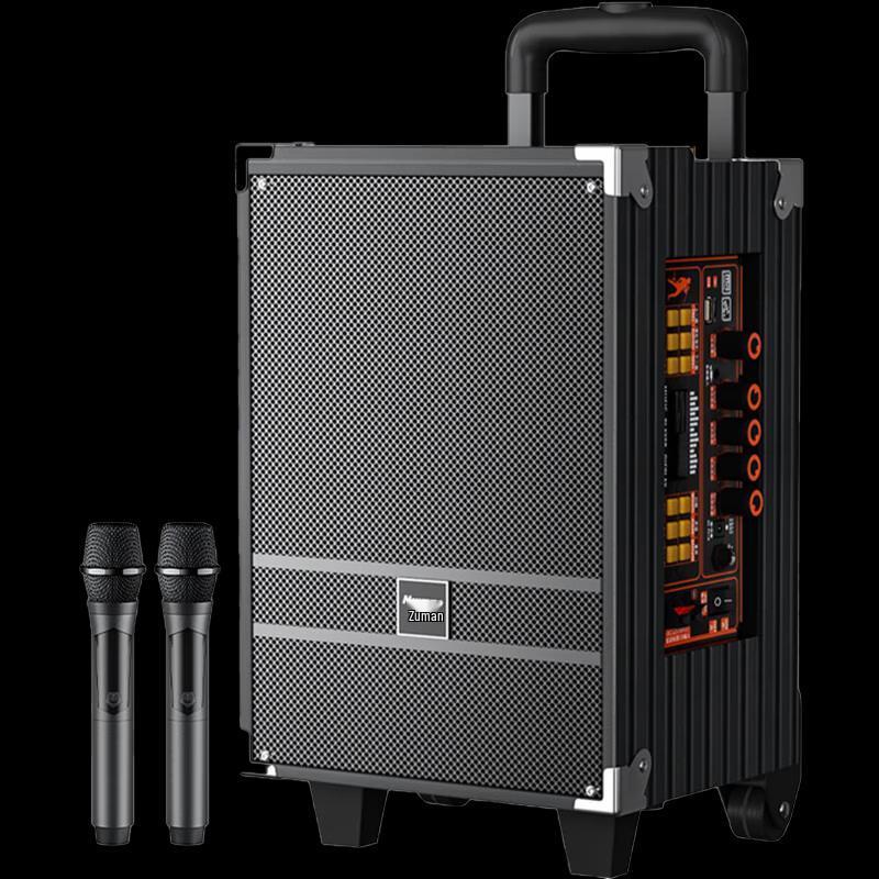 Newmine N518 8-Zoll tragbarer Bluetooth Karaoke-Trolley-Lautsprecher mit zwei Mikrofonen CN-Stecker (Adapter enthalten) (CN-Version)