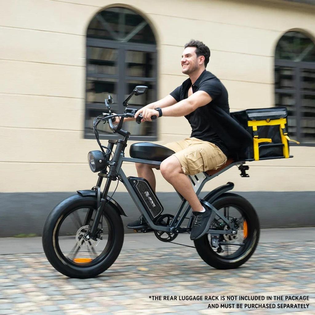 EBike X70 750W Dual Lithium Battery 34AH Long Range 40KM/H 20*4Fat Tire Electric Bike Mountain Electric Bicycle E-motorcycle