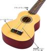 Soprano Ukulele Beginner Pack 21 Inch Set with String Gig Wooden Quick Learning Polishing Kit Bag, Ukulele, Songbook, Pick, Cloth, All-in-One